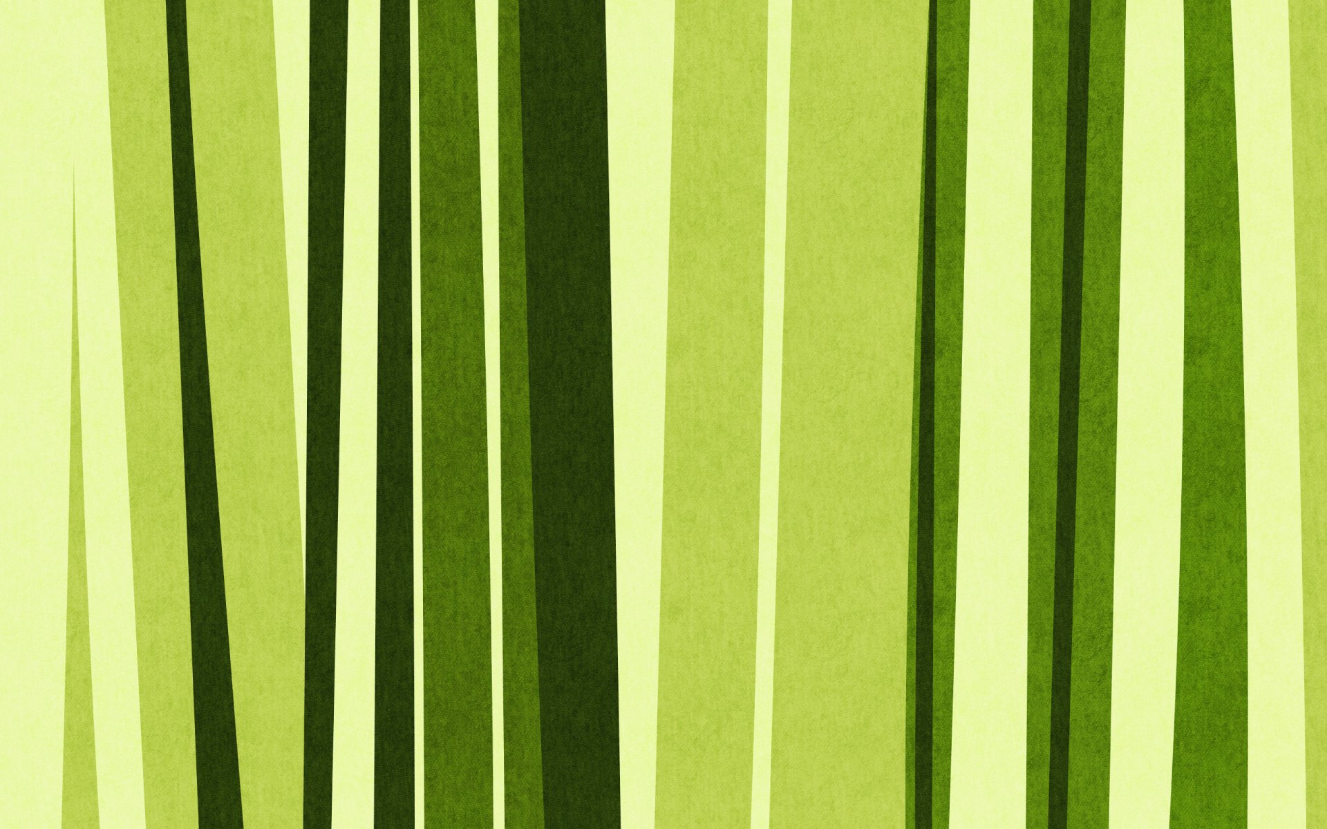 green textures bamboo of the strip