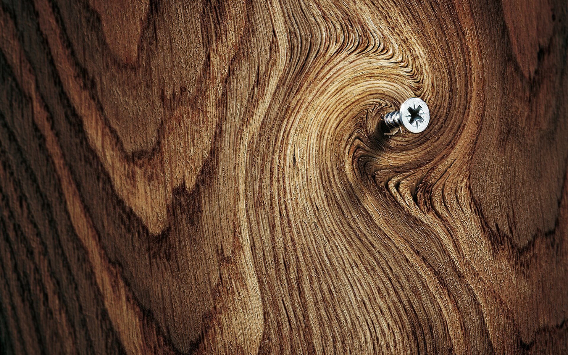 fondo madera tablero madera superficie tornillo talla macro