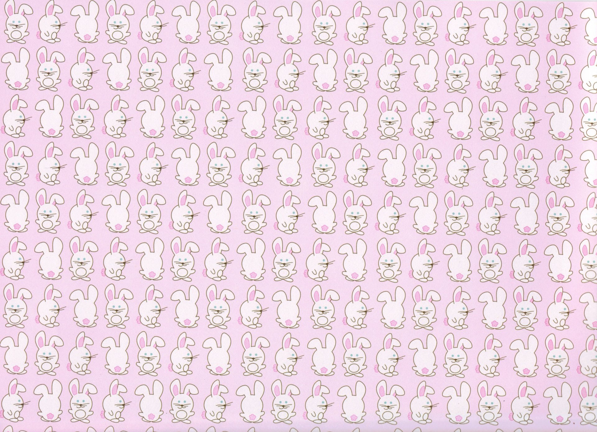 texture rabbit rabbits baby rabbit hare bunny hare