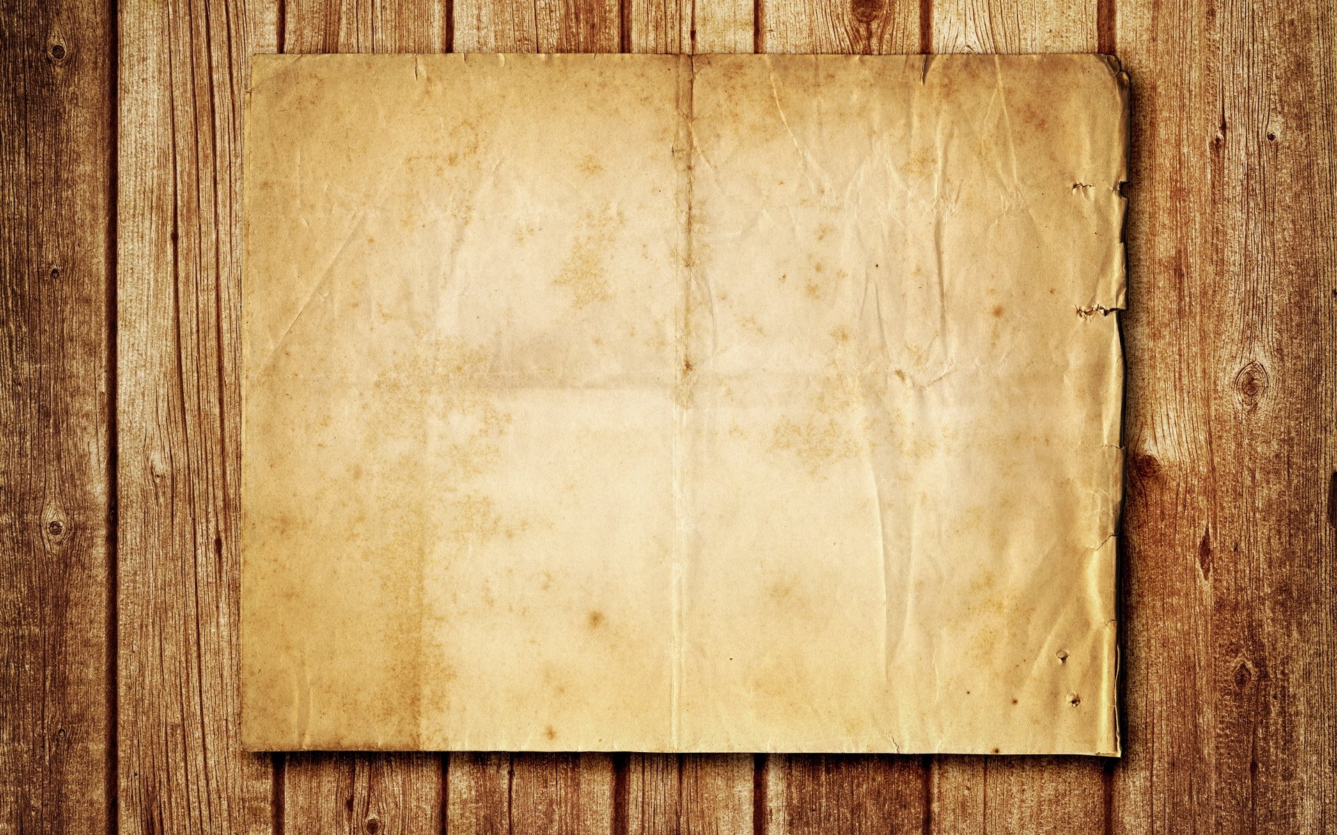 textures wood background tree paper cardboard brown