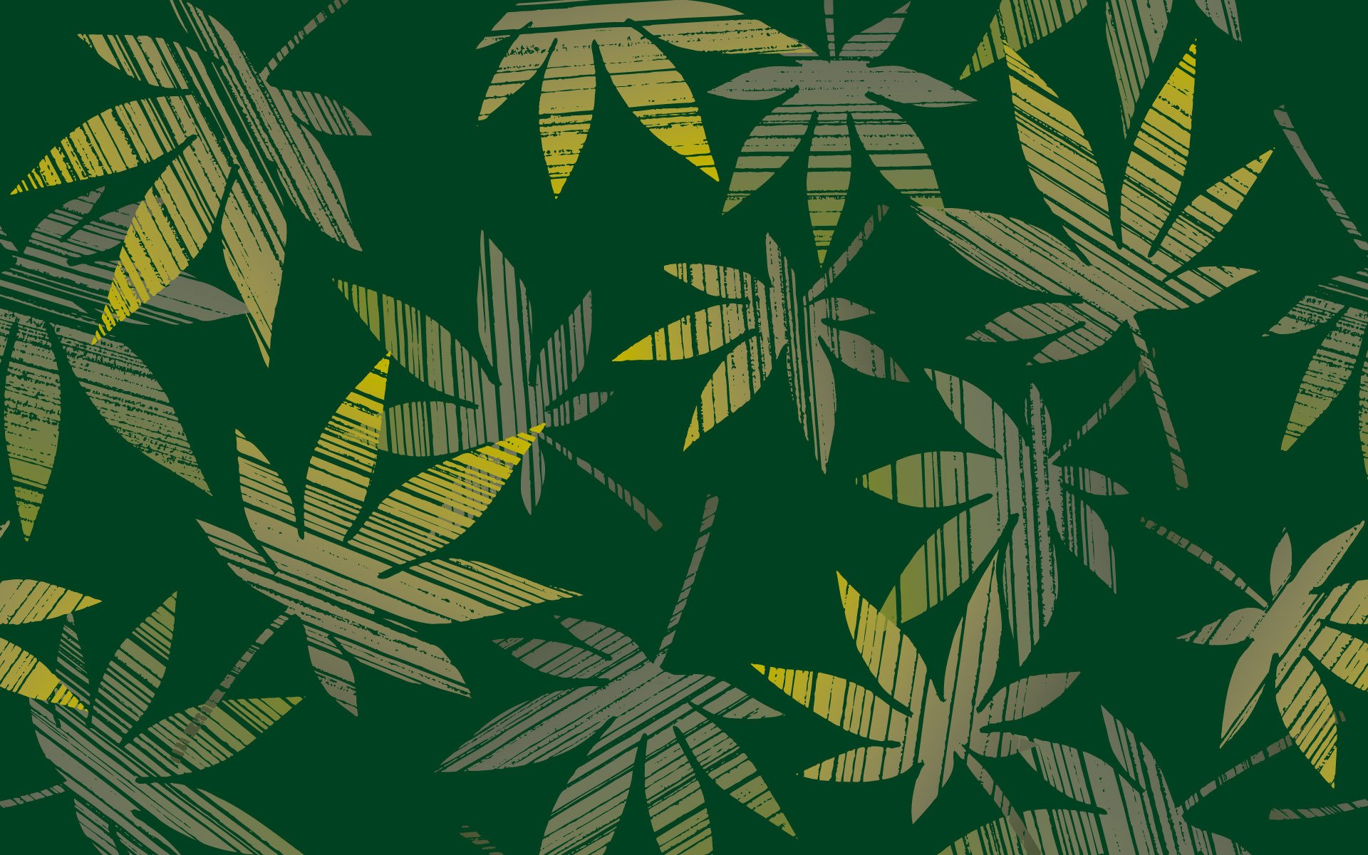 leaves green hemp