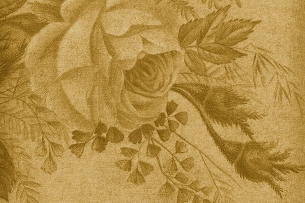 Vintage Rose patterns