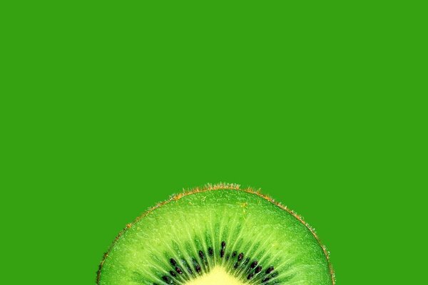 Bright ripe juicy kiwi on a green background