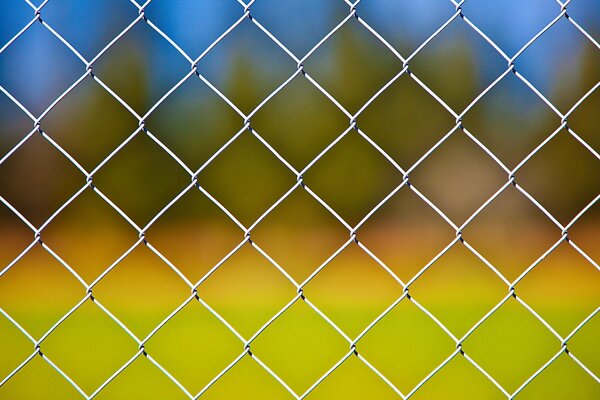 Metal mesh on a green background