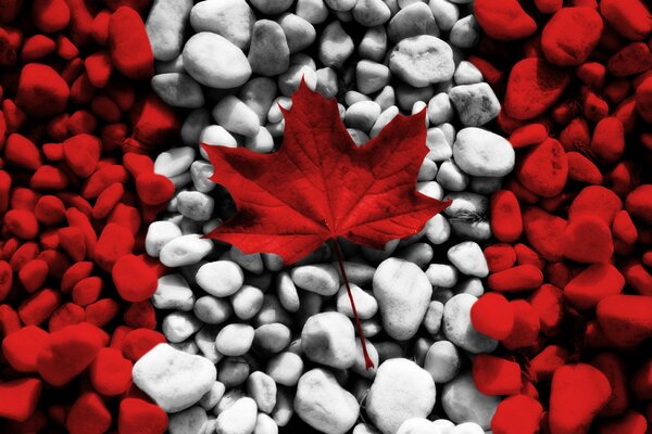 The flag of Canada in an interesting version