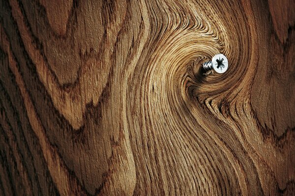 Eine Schraube wurde in das schöne Holz eingeschraubt