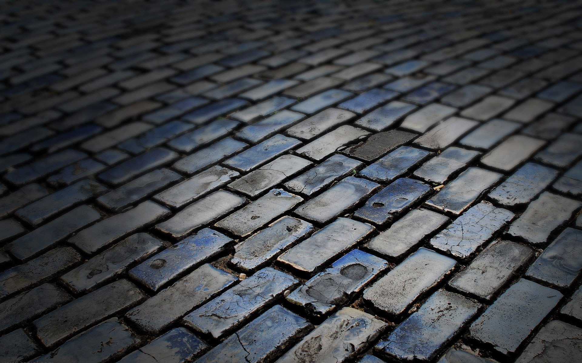 textures stones brick pavement road the dark flower