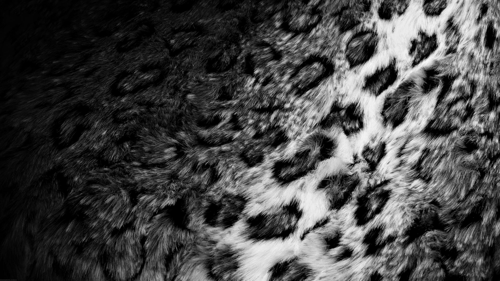 piel pelaje leopardo blanco y negro