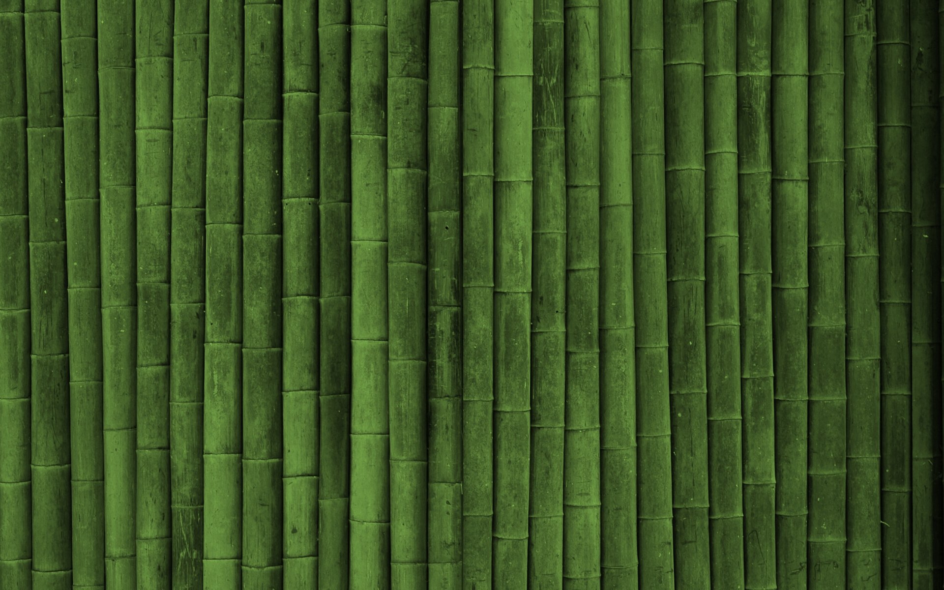 bambou texture green style