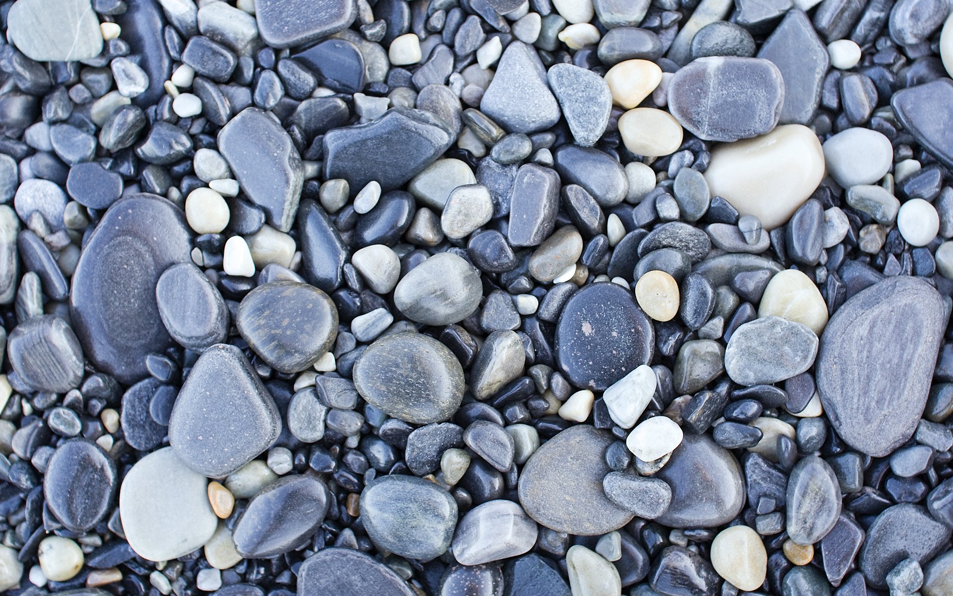 textura piedras gris guijarros