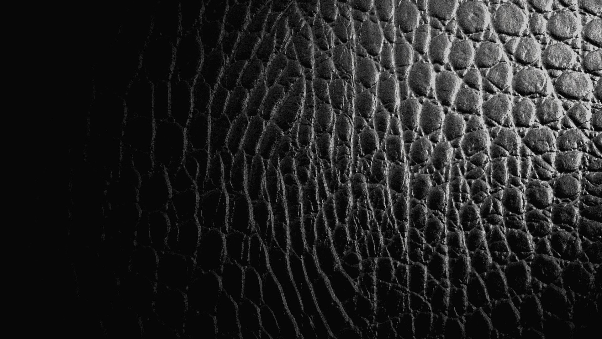 texture pelle rettile coccodrillo sfondo nero