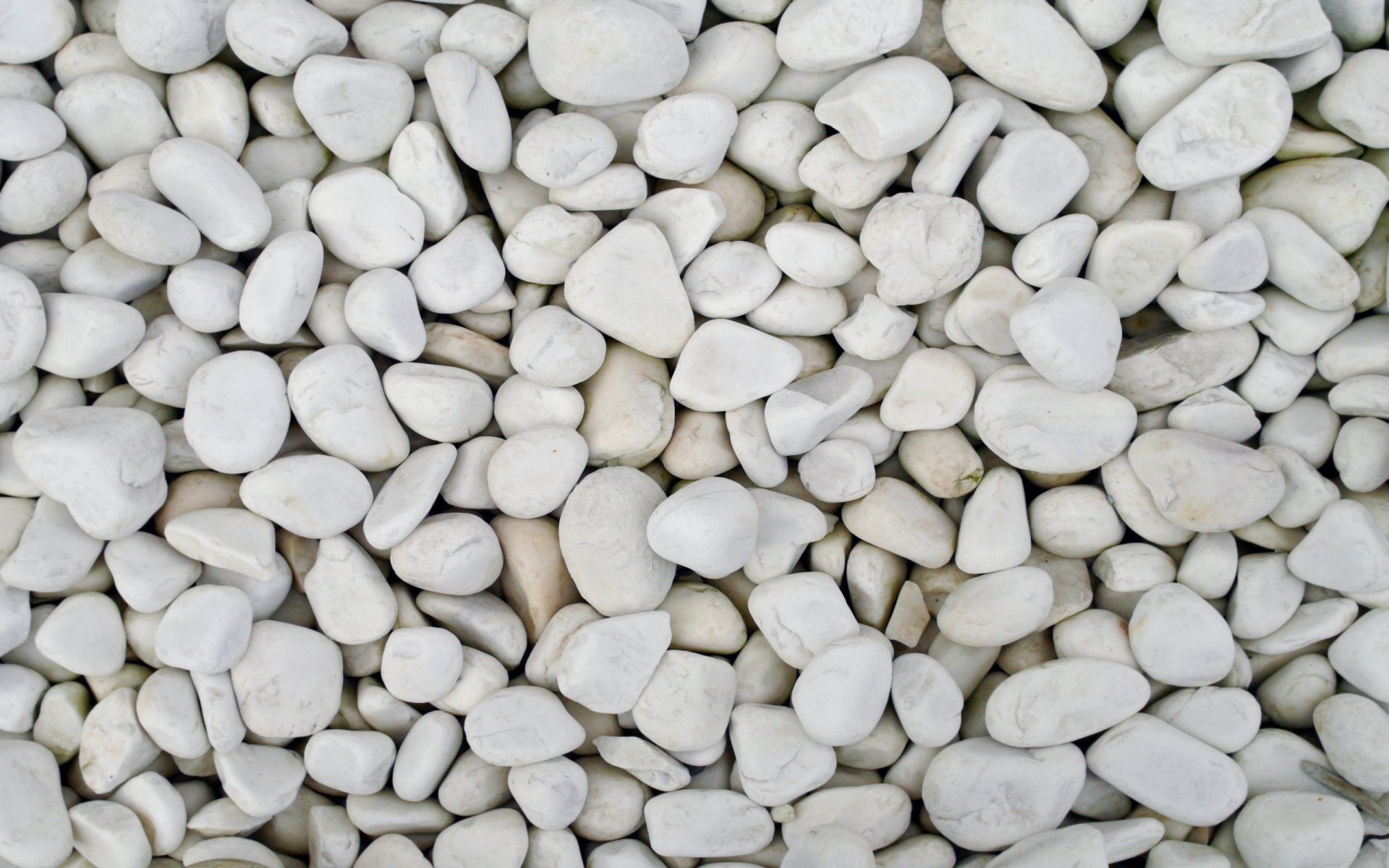 pebbles white stone