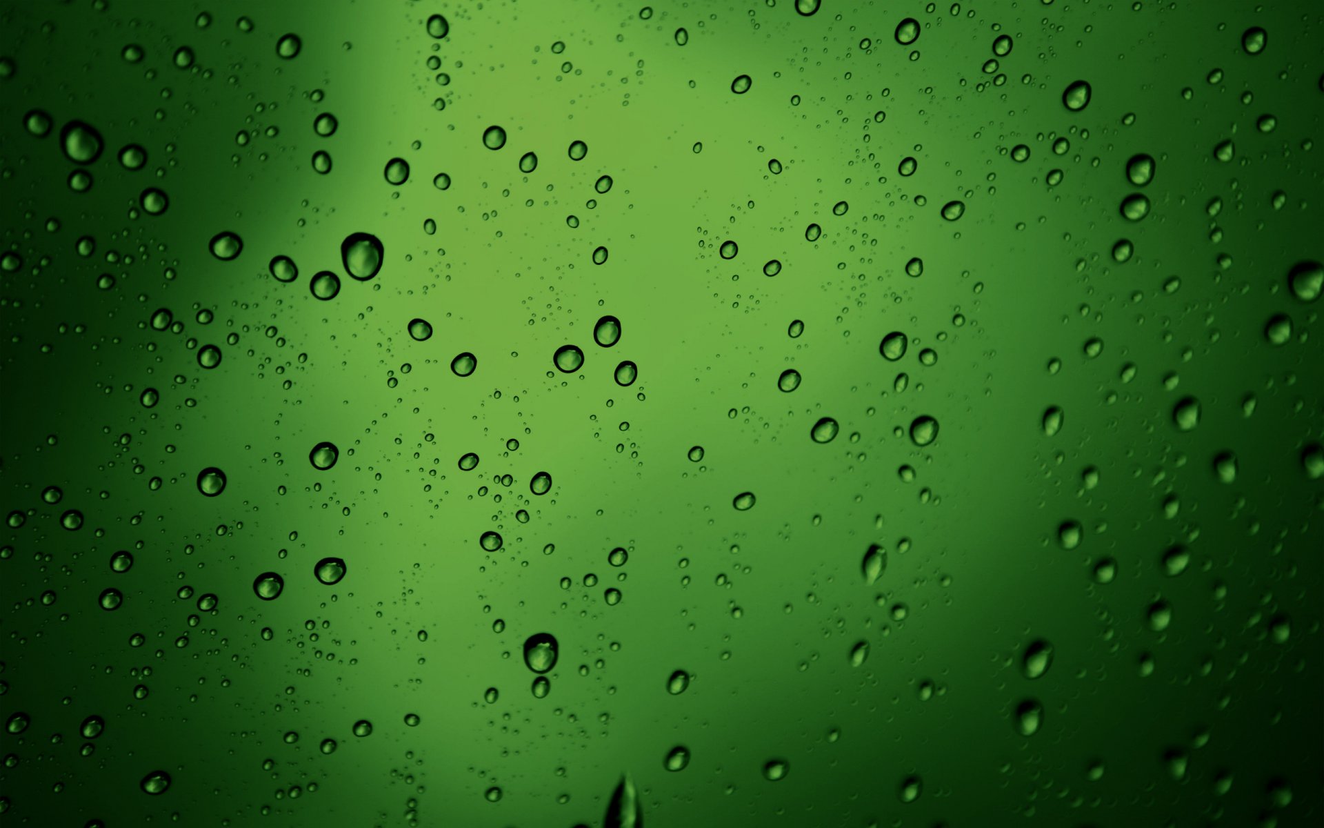 burbujas bultos textura verde gotas de agua estilo gotas macro textura