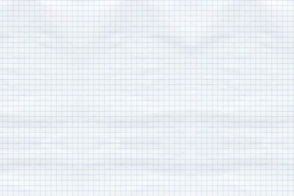 White checkered notebook sheet