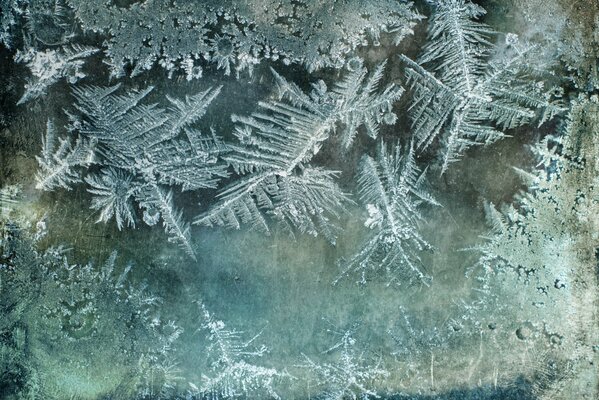 Vista macro del gelo sul vetro in inverno