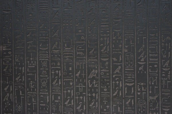 Egyptian hieroglyphs on a brown wall