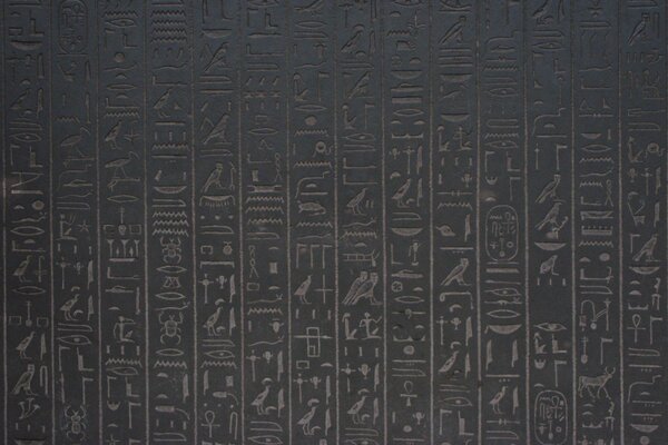 Jeroglíficos egipcios en la pared marrón