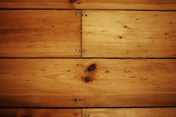 Wooden board with a knot and nails