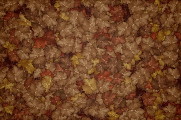 Background of autumn leaves