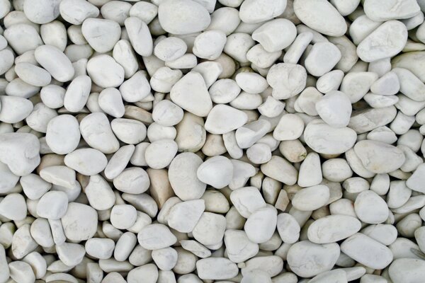 Sea white stones, pebbles