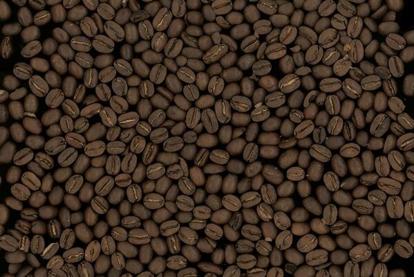 Full-screen picture of coffee beans