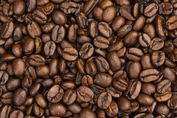 Close-up macro photography of coffee beans