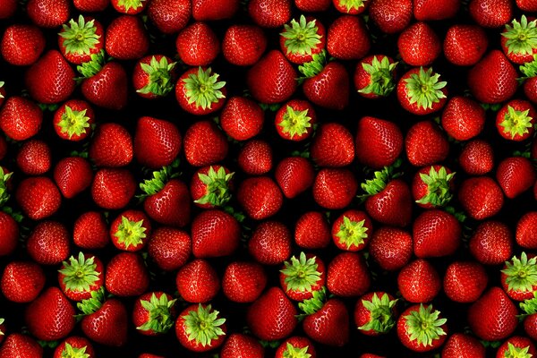Strawberry sweet berry summer