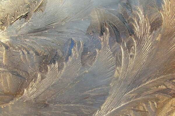 Cold winter. Ice patterns on glass