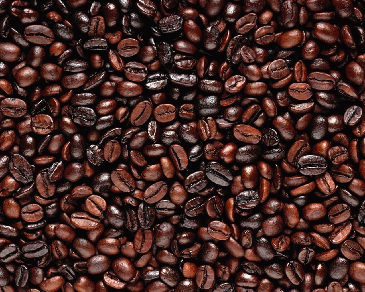 coffee roasted grain