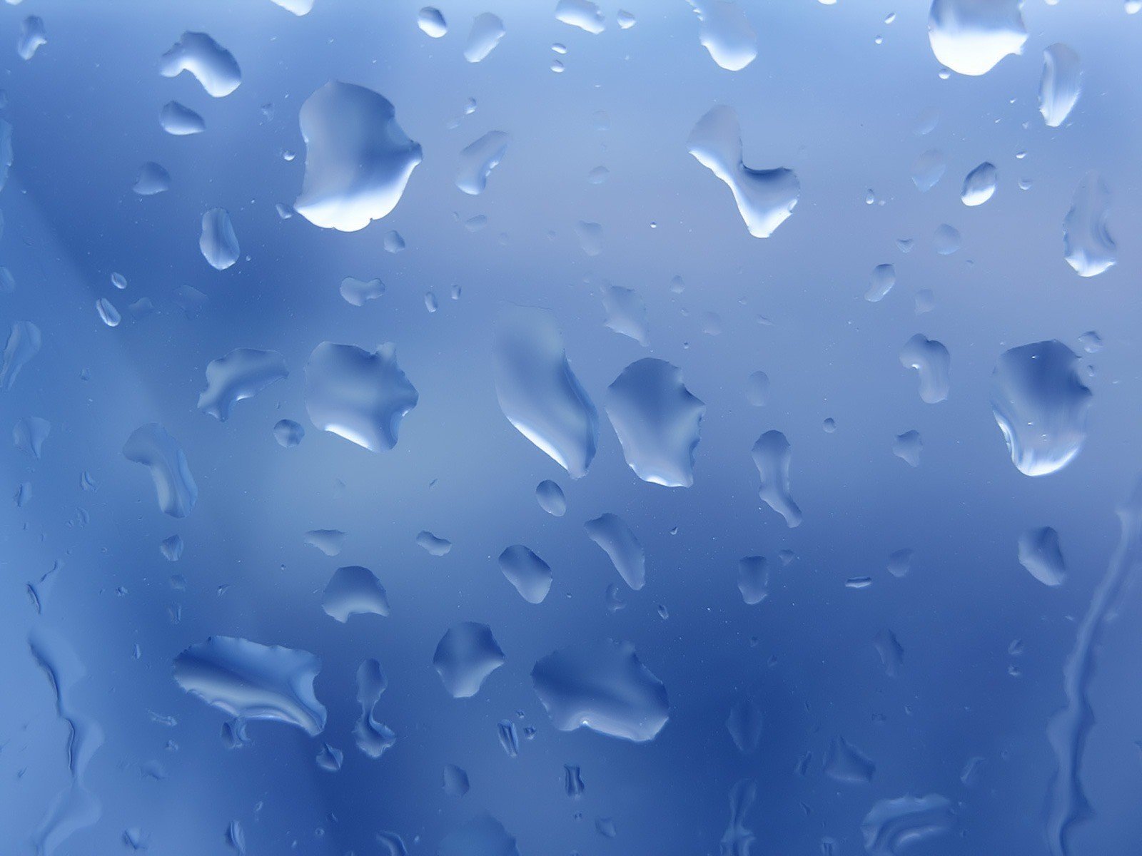 drops wet blue garbage