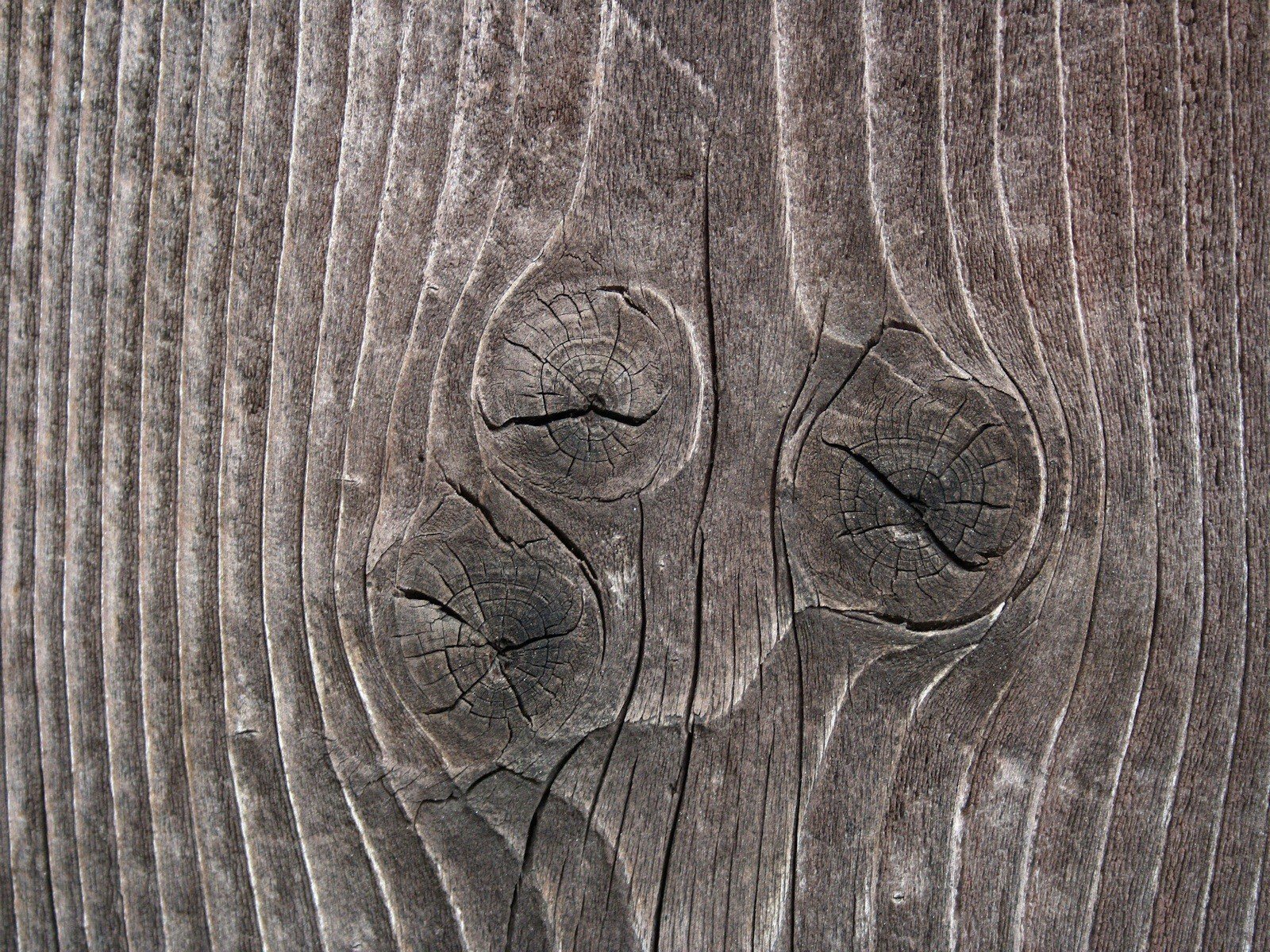 textura madera nudos