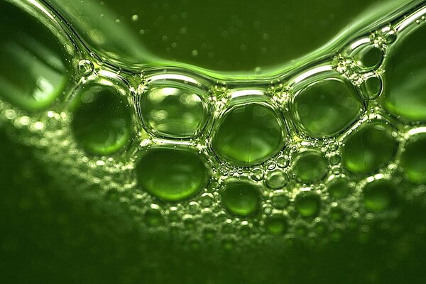 Bubbles in a green liquid