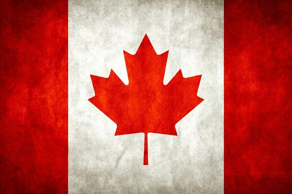 Bandera de Canadá con hoja de arce rojo