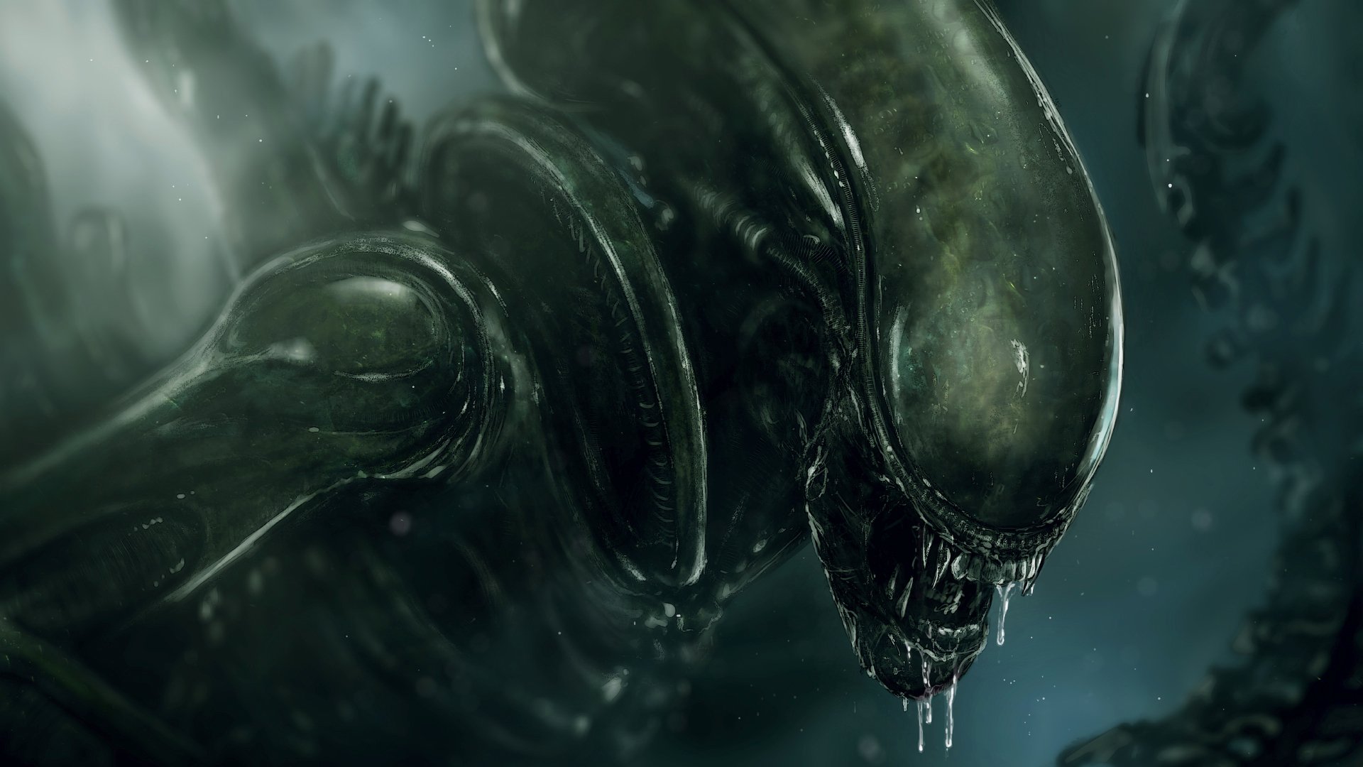 alien a stranger xenomorph stranger