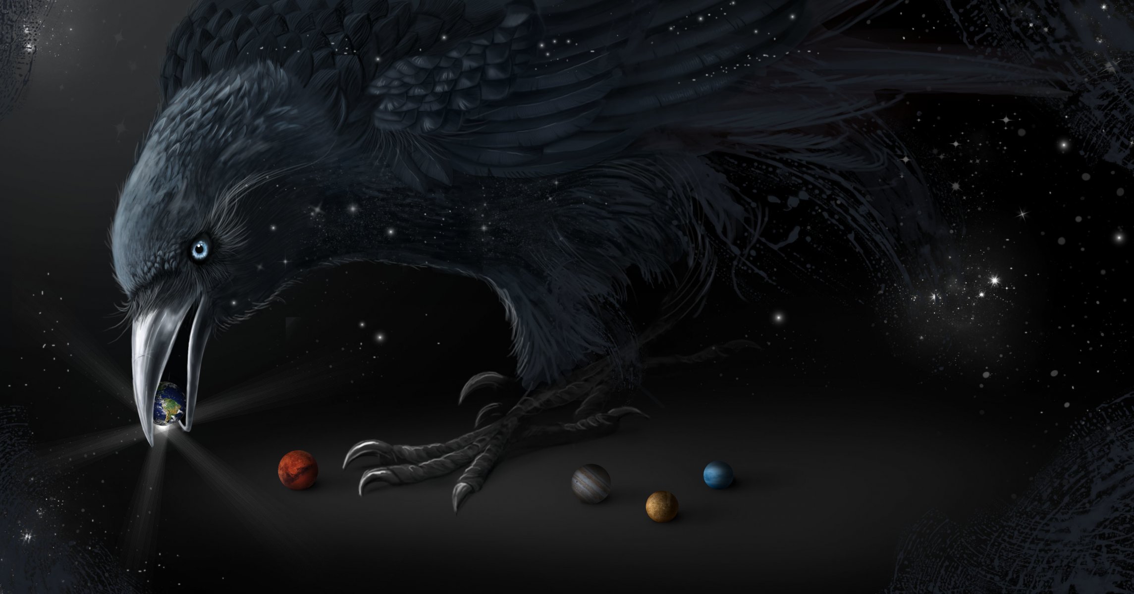 art poultry raven black beak world