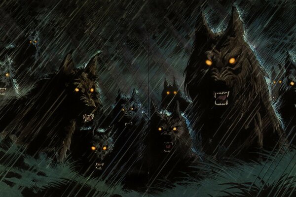 Una manada de lobos en la lluvia