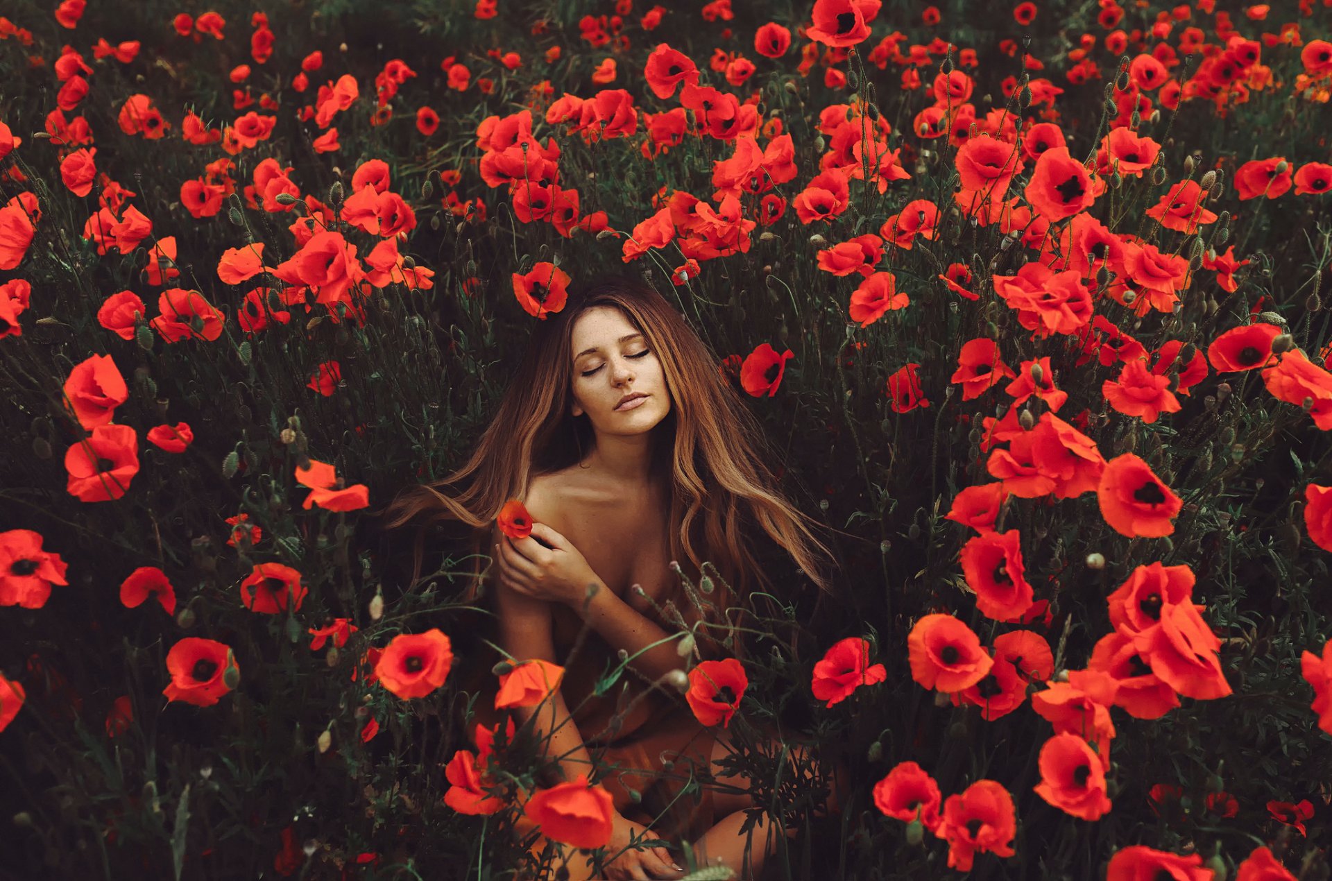 girl nature poppies flower