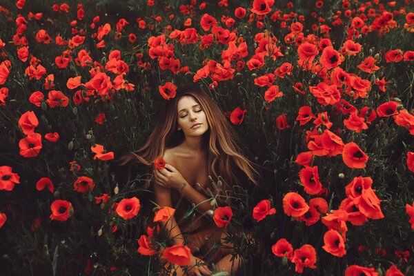 A girl on the background of a poppy field