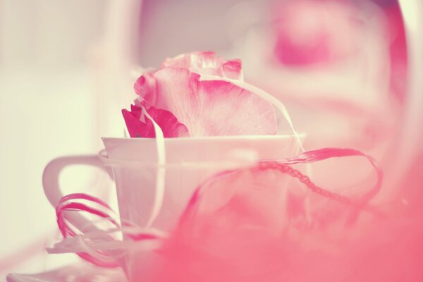 Pink Petals in a white mug