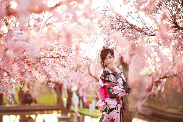 An Asian woman stands under a cherry blossom