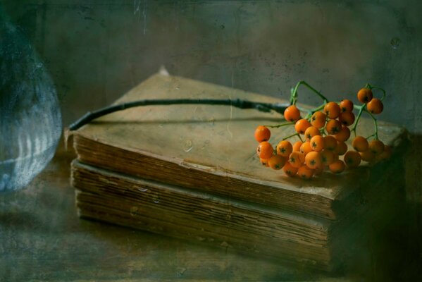 A branch of mountain ash on ancient books