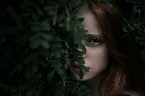 Bellissimo ritratto fotografico della ragazza con le foglie