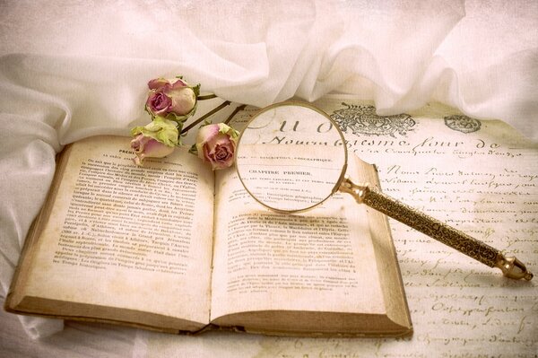 Vintage libro junto a las rosas