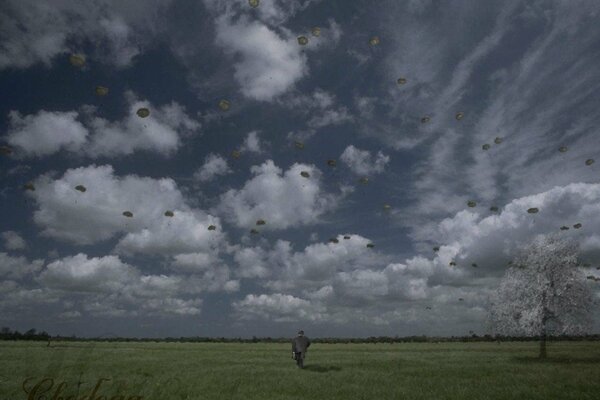 Ich bin frei wie ein Vogel in Wolken