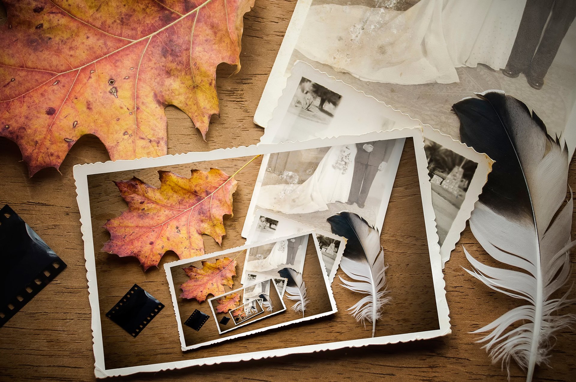 photo de mariage feuille automne plume