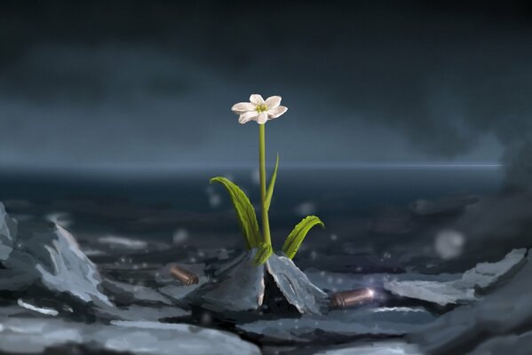 À travers les épines vers les étoiles. Fleur solitaire