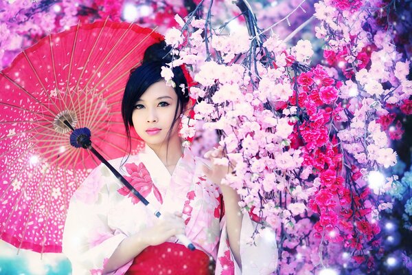 Asian girl on the background of sakura with a pink umbrella