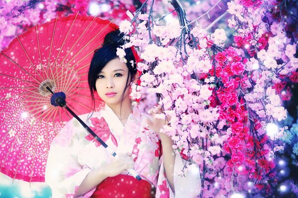 Ragazza Asiatica su sfondo sakura con ombrello rosa
