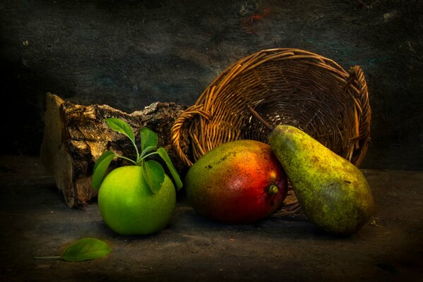 Naturaleza muerta con troncos y frutas