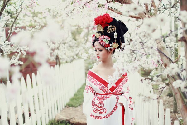 Japanisches Mädchen. Blühende Sakura